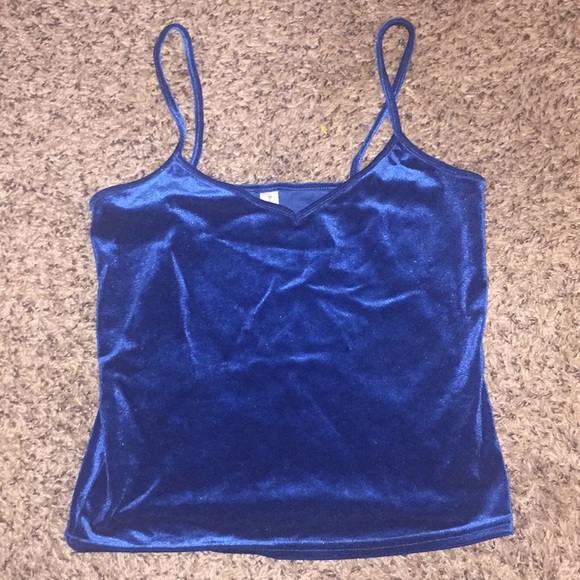 Brandy Melville Tops - Velvet blue tank top
